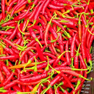 Chillies Red Kgs