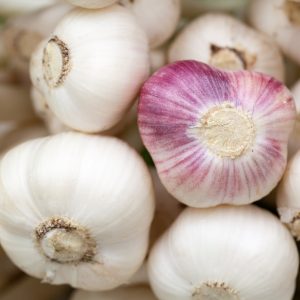 Garlic Fresh Imported 2 PK