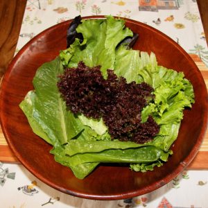 Mixed Leaf Salad 150g