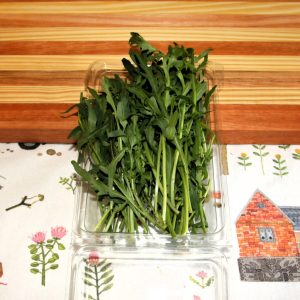 Wild Rocket 30g