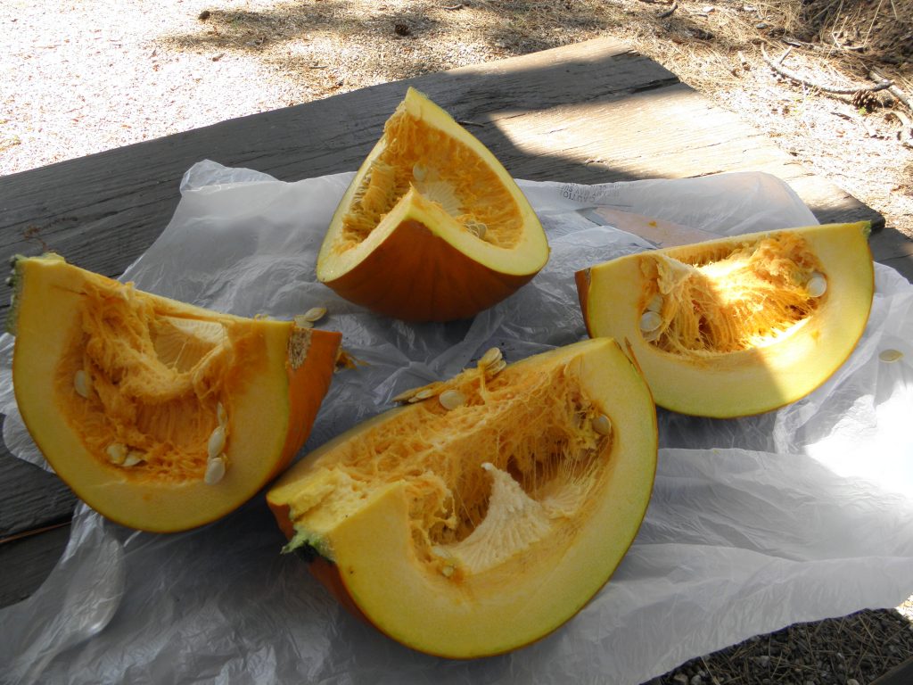 Pumpkin Quarter / kg