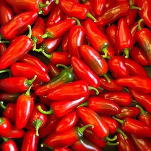 Jalapeno Red Kgs